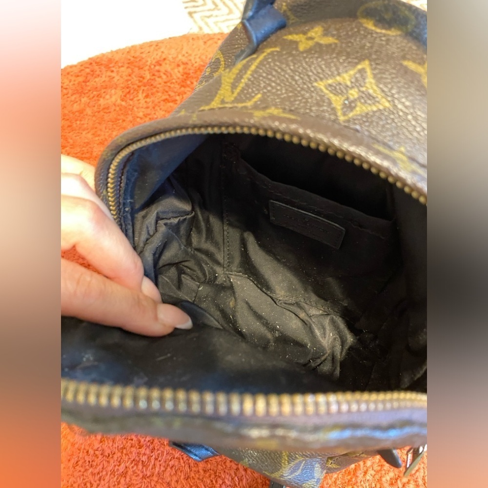 Louis Vuitton Palm Springs Mini backpack - Picture 4 of 6